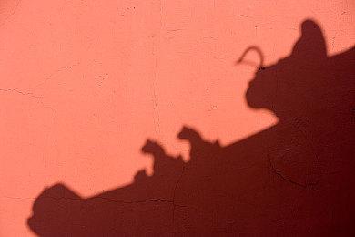 Bungie新作可能是一个MOBA游戏 代号果冻熊